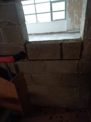 Image Title